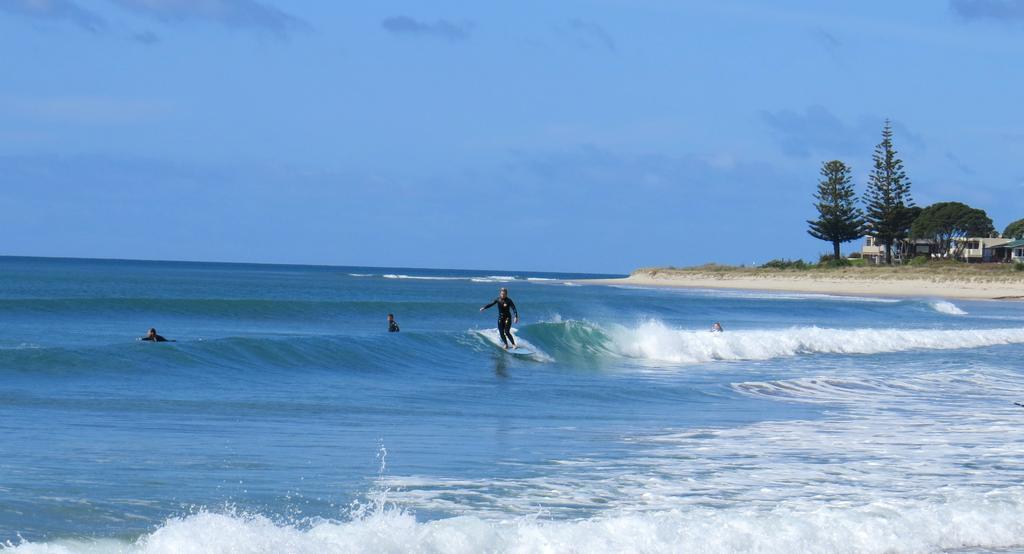 Surf N *